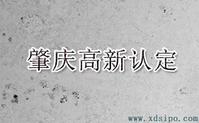 2016年肇庆市高新技术企业认定名单