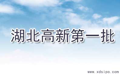 湖北省2016年第一批拟认定高新技术企业名单