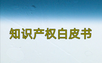 上海市知识产权联席会议办公室指导长三角示范区编制知识产权白皮书